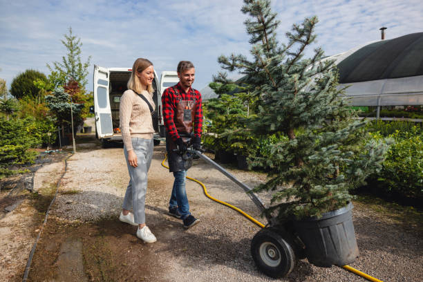 Best Arborist Consultation Services  in Lindenhurst, IL